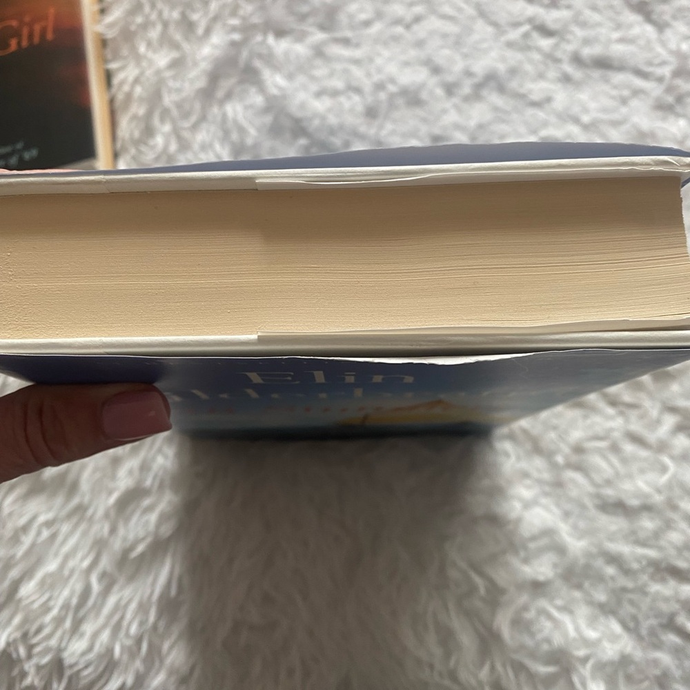 Bundle of 3 Elin Hilderbrand Hardcover Novels – Bestselling Beach Reads! - Picture 4 of 7